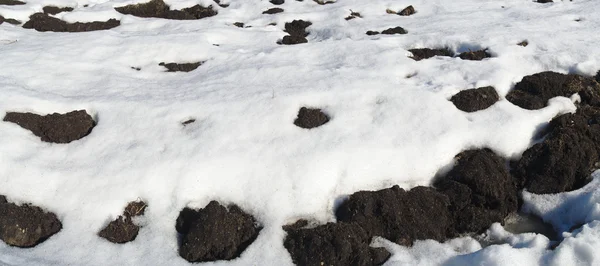 Della sorgente del campo coperto di neve. — Foto Stock