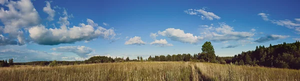 Panorama of clouds and meadow with Instagram style filter — Stock Photo, Image