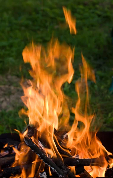 Karanlıkta kamp şenlik ateşi — Stok fotoğraf