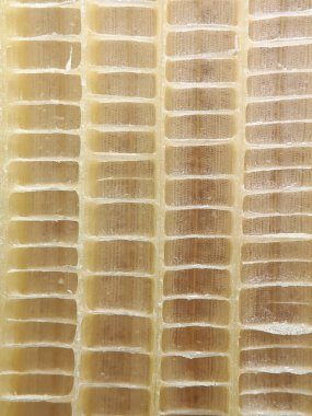 Muz ağacı göbeğinin dokusu