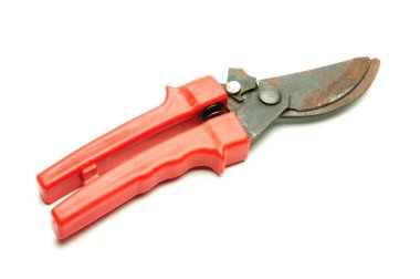 Ağaç dallarını ve çalıları budamak için izole edilmiş beyaz arka grubunda kırmızı makas.