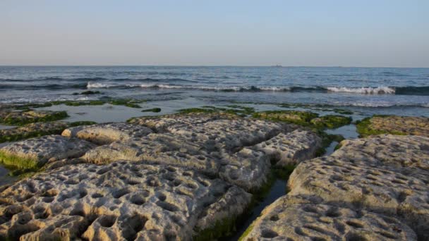 Скалистое Побережье Каспийского Моря Покрытое Водорослями Летом — стоковое видео