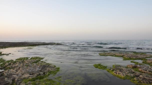 Klippiga Kusten Kaspiska Havet Täckt Med Alger Sommaren — Stockvideo