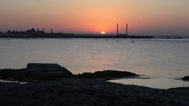 Brzeg Morza Kaspijskiego Rośliną Letni Wieczór Zachodzie Słońca — Wideo stockowe