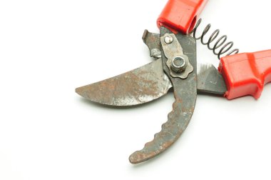 Ağaç dallarını ve çalıları budamak için izole edilmiş beyaz arka grubunda kırmızı makas.