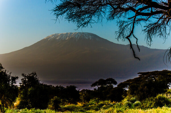 Kilimanjaro view from savanna in Kenya