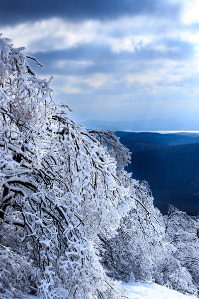 Téli Kilátás Lozen Mountain Bulgária — Stock Fotó