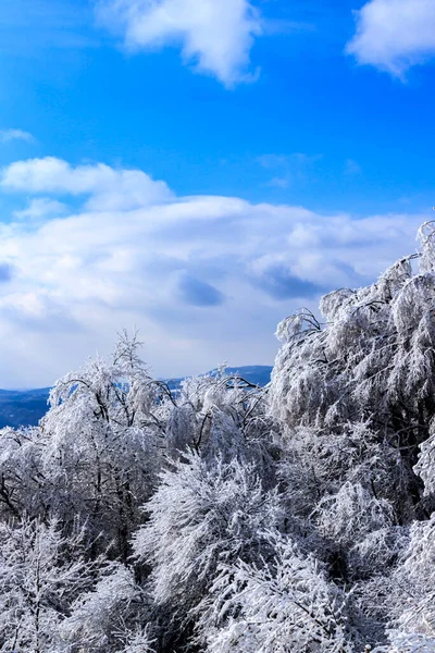 Vinterutsikt Vid Lozen Mountain Bulgarien — Stockfoto