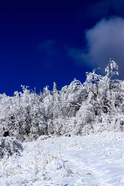 Winter view at Lozen Mountain, Bulgaria