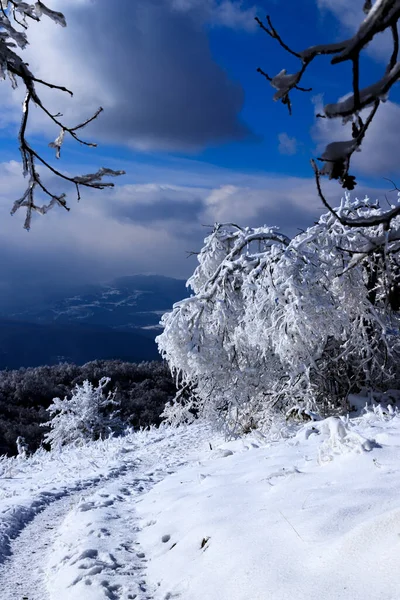 Vinterutsikt Vid Lozen Mountain Bulgarien — Stockfoto