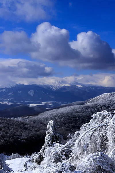 Θέα Χειμώνα Στο Lozen Mountain Βουλγαρία — Φωτογραφία Αρχείου