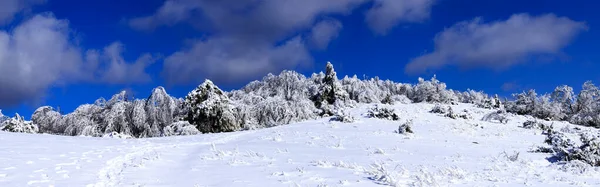 불가리아의루젠 산에서 바라본 — 스톡 사진