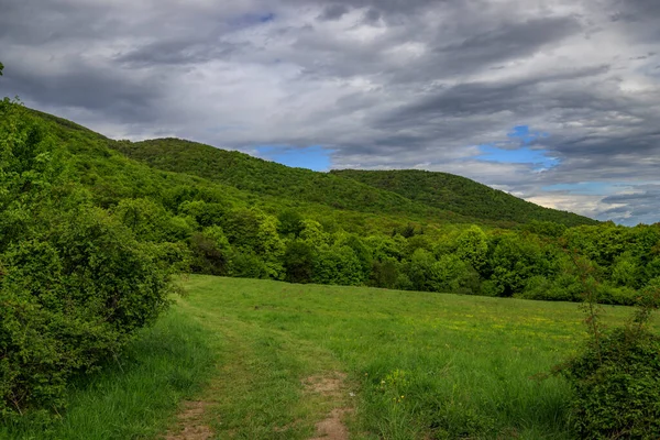 Vue Montagne Lyulin Bulgarie — Photo