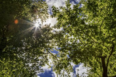 Bulgaristan 'ın Lyulin Dağı' ndan görüntüler