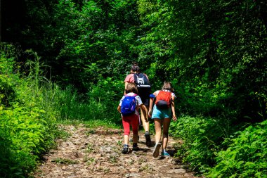 Vazova yolu ve Skaklya şelalesi, Stara planina dağı, Bulgaristan