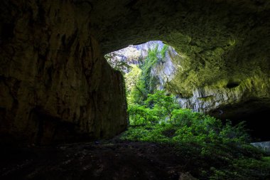 Devetshka mağarası - Letnitsa 'nın yaklaşık 7 km (4,3 mi) doğusunda ve Bulgaristan' ın Devetaki kasabası yakınlarındaki Lovech 'in 15 km (9,3 mi) kuzeydoğusunda büyük bir karst mağarası.