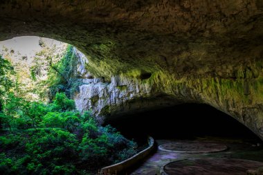 Devetshka mağarası - Letnitsa 'nın yaklaşık 7 km (4,3 mi) doğusunda ve Bulgaristan' ın Devetaki kasabası yakınlarındaki Lovech 'in 15 km (9,3 mi) kuzeydoğusunda büyük bir karst mağarası.