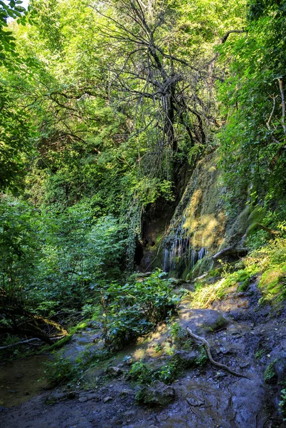 Cataratas Krushuna Serie Cascadas Norte Bulgaria Cerca Del Pueblo Krushuna — Foto de Stock