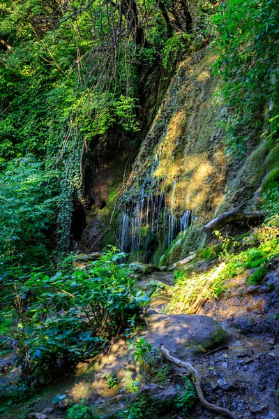 Cataratas Krushuna Serie Cascadas Norte Bulgaria Cerca Del Pueblo Krushuna —  Fotos de Stock