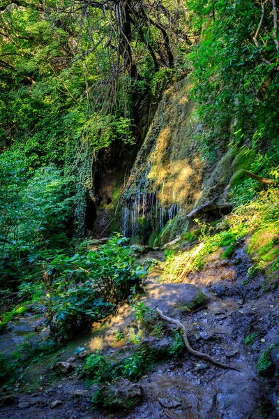 Cataratas Krushuna Serie Cascadas Norte Bulgaria Cerca Del Pueblo Krushuna —  Fotos de Stock