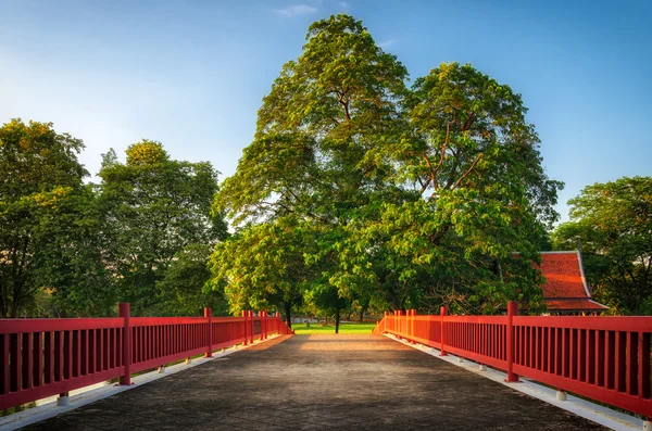 Orientaliska trädgården med en känsla av frid — Stockfoto