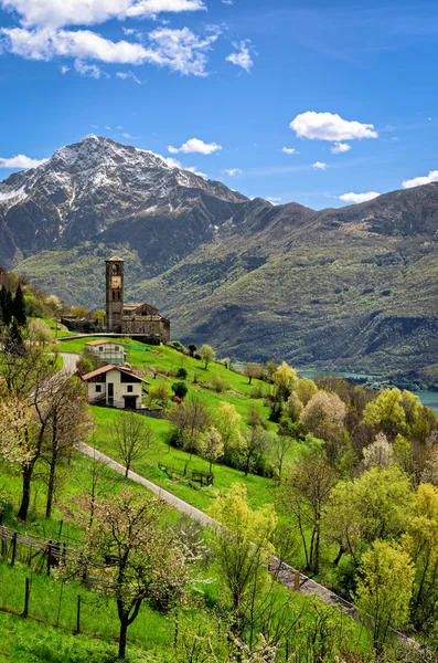 Peglio (Lago di Como) paisaje — Foto de Stock