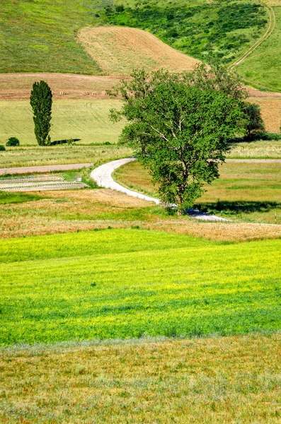 Parco di Colfiorito (Umbría ) —  Fotos de Stock