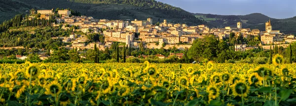 Spello (Умбрія Італія ) — стокове фото