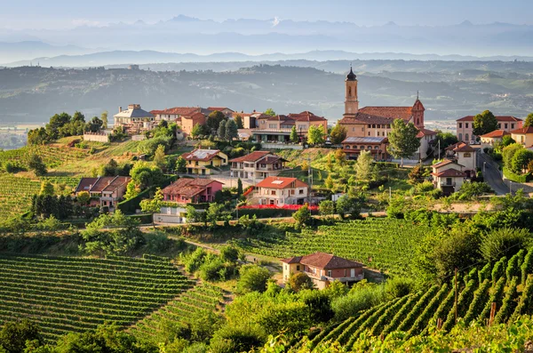 Treiso (Le Langhe) —  Fotos de Stock