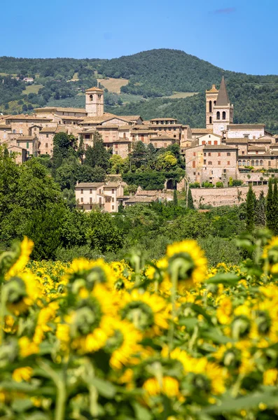 Byn i Spello (Umbrien Italien) — Stockfoto