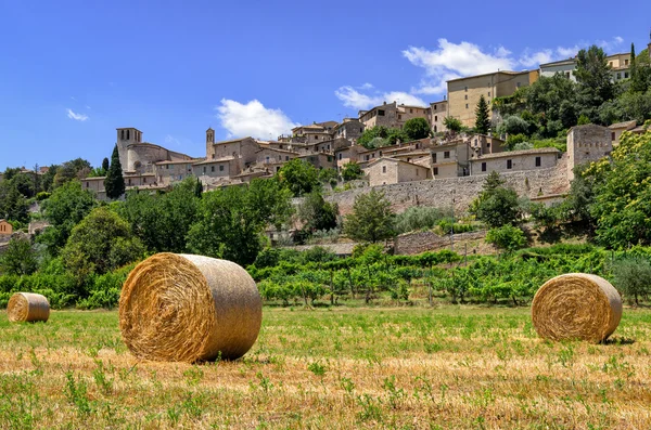 Spello (Umbria Italia ) — Fotografia de Stock