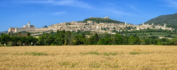 Assisi (Umbrien) högupplöst panorama — Stockfoto