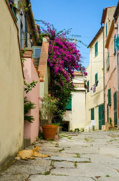 Island of Elba, alley in Sant'Ilario — Stock Photo, Image