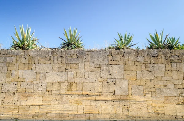 Kuru duvar (Island pianosa, İtalya) — Stok fotoğraf