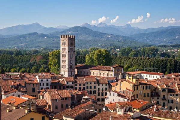 Lucca, Italia – stockfoto