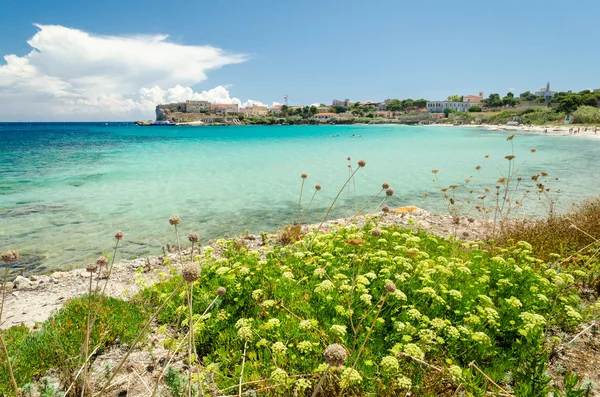 Eiland van pianosa, Toscane, Italië — Stockfoto