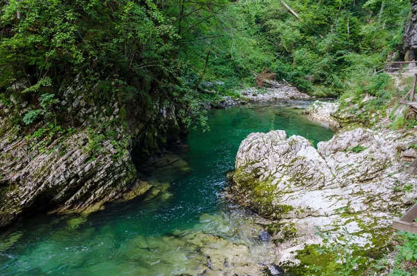 Eslovenia, Vintgar Gorge —  Fotos de Stock