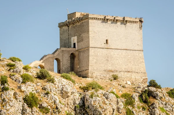 Puglia, Italia, antigua torre en Porto Selvaggio — Foto de Stock