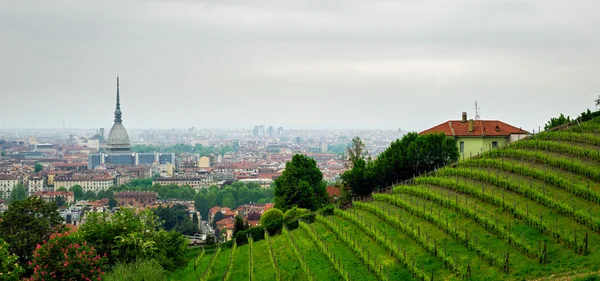 Turín (Torino), panorama de las colinas —  Fotos de Stock