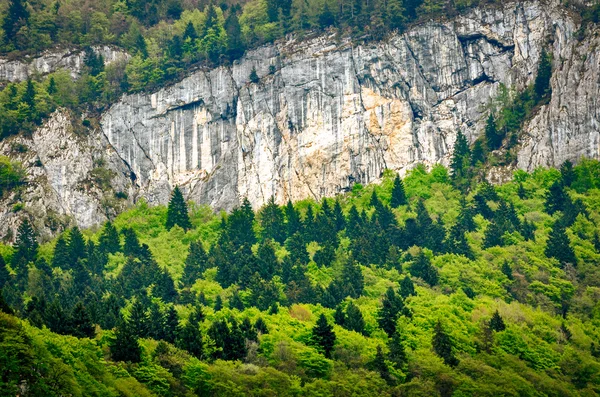 Trentino Alto Adige, detalhe dos Alpes — Fotografia de Stock