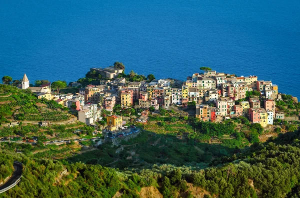 Corniglia Cinque Terre (İtalyan Riviera Liguria) ve deniz — Stok fotoğraf
