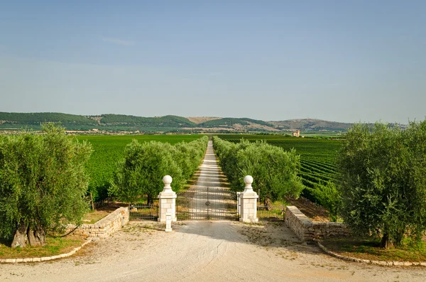 Italy, Villa entrance gate and estate (Puglia) — Stock Photo, Image