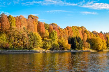 Turin (Torino) Parco del Valentino sonbahar renkleri