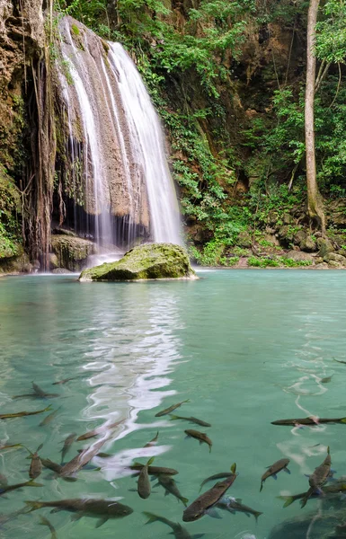 Chutes d'eau Erawan (Thaïlande ) — Photo