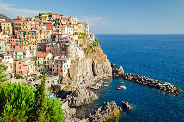 Manarola, Cinque Terre (Italian Riviera, Liguria) — Stock Photo, Image