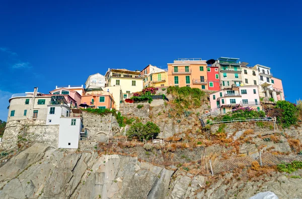 Manarola, Cinque Terre (Riviera italiana, Liguria ) —  Fotos de Stock