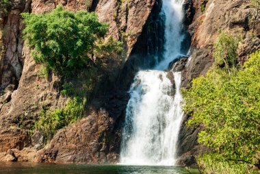 Wangi falls, litchfield milli park, Avustralya