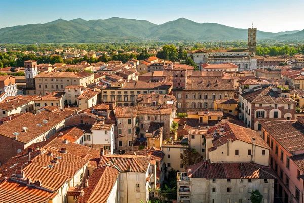 Lucca (Toskana İtalya) panorama ile katedral — Stok fotoğraf