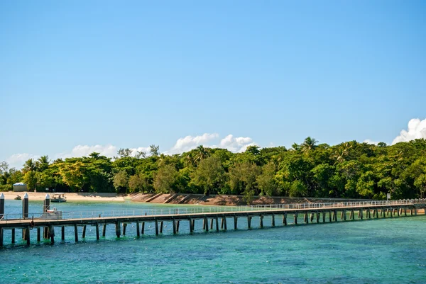 Grüne insel australien — Stockfoto