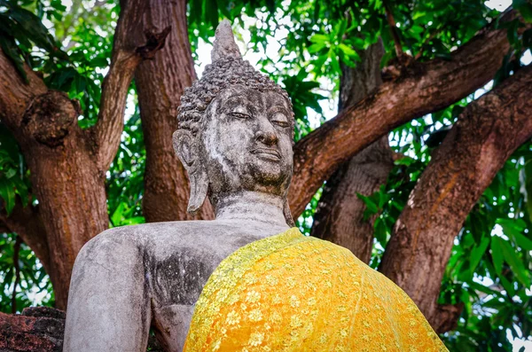 Ayutthaya (Tayland) Buda heykeli yakın çekim — Stok fotoğraf